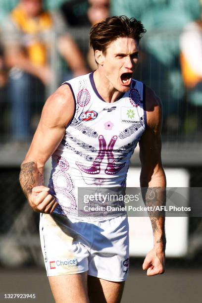 Rory Lobb of the Dockers celebrates a goal during the round 17 AFL match between Hawthorn Hawks and Fremantle Dockers at University of Tasmania...