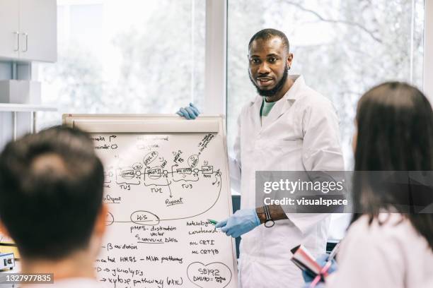 scientist making a presentation to colleagues - mind map stock pictures, royalty-free photos & images