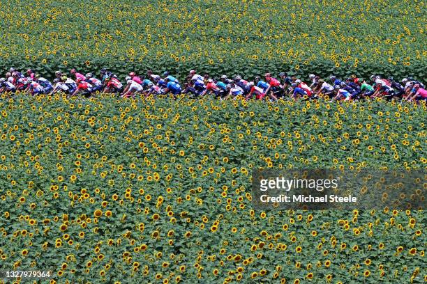 The Peloton passing through a Sunflowers field during the 108th Tour de France 2021, Stage 14 a 183,7km stage from Carcassonne to Quillan / Landscape...