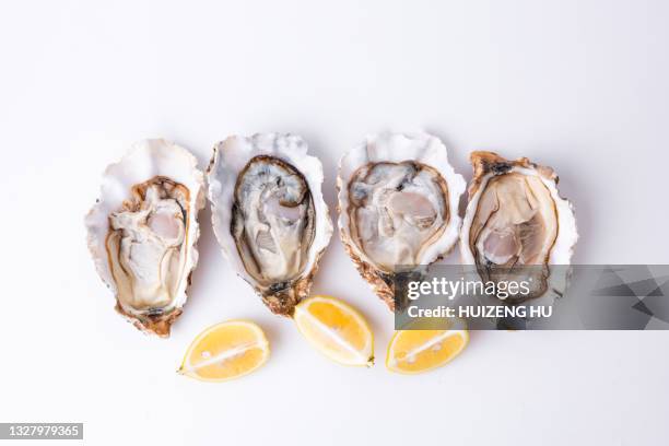 fresh oysters isolated on white background - oysters stock-fotos und bilder