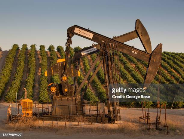 Oil pumping rigs, sometimes known as pumpjacks or grasshoppers, are situated next to a vineyard of table grapes as viewed on July 8 north of...