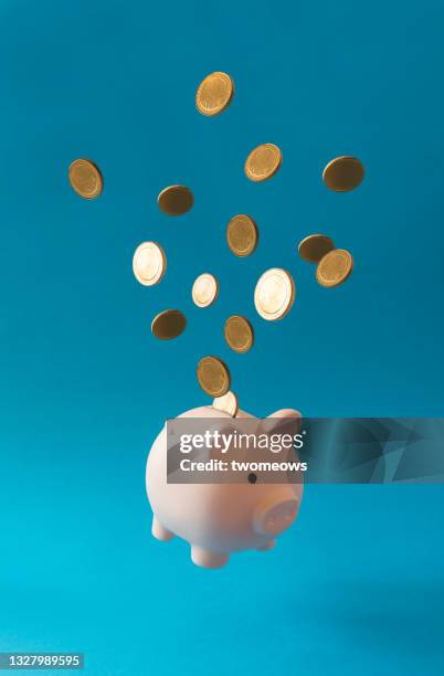 financial still life with piggy bank and coins. - hucha cerdito fotografías e imágenes de stock