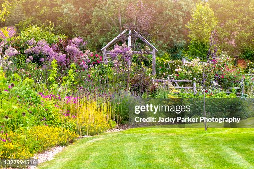 Beautiful English Cottage summer garden with rustic wooden pergola in soft sunshine Beautiful English Cottage summer garden with rustic wooden pergola in soft sunshine