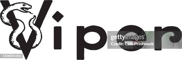 viper - viper snake stock illustrations