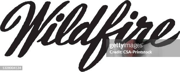 wildfire - forest fire stock illustrations