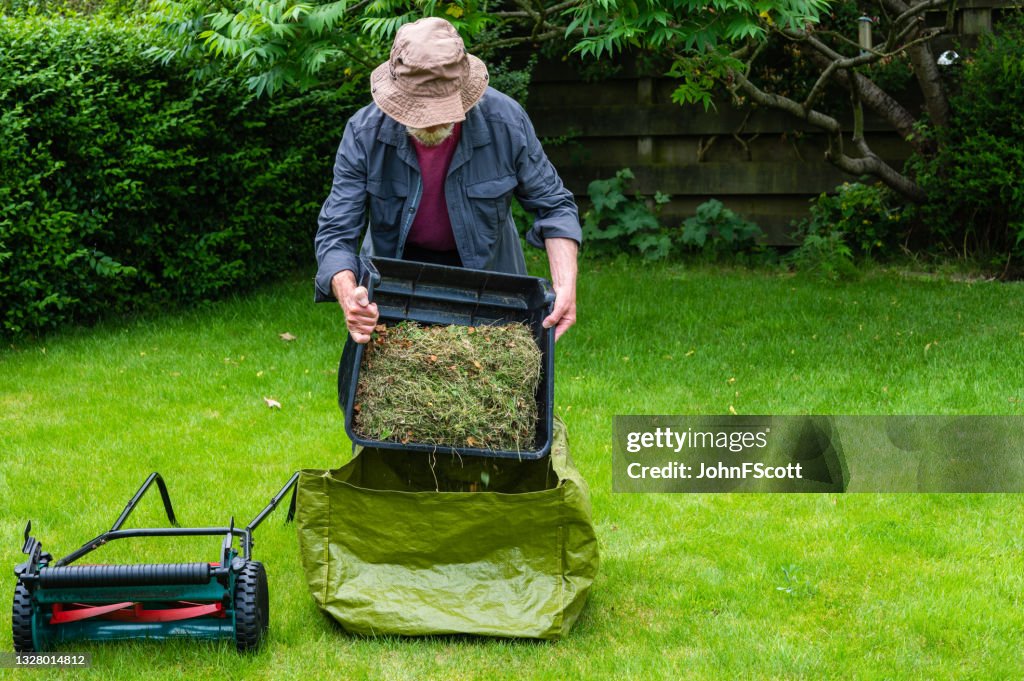 Homme âgé actif vidant une boîte d’herbe