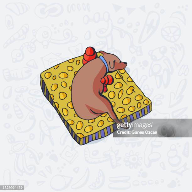 doggy sleeping in its bed with toys - puppy dreaming - cocoon animal stage stock illustrations