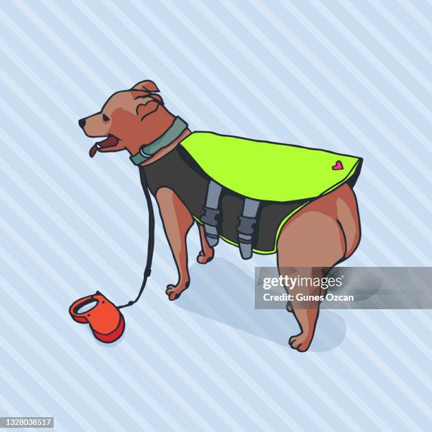 doggy wearing life jacket - cute puppy standing - hand drawn puppy illustration - pet lead stock illustrations