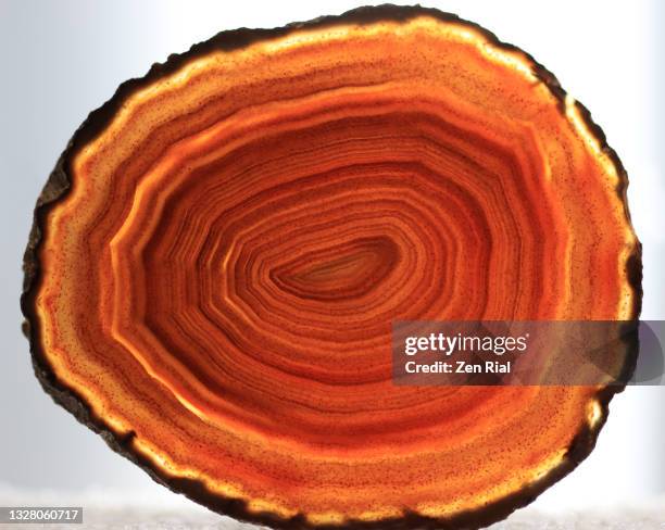 35 Cross Section Geode Stock Photos, High-Res Pictures, and Images ...