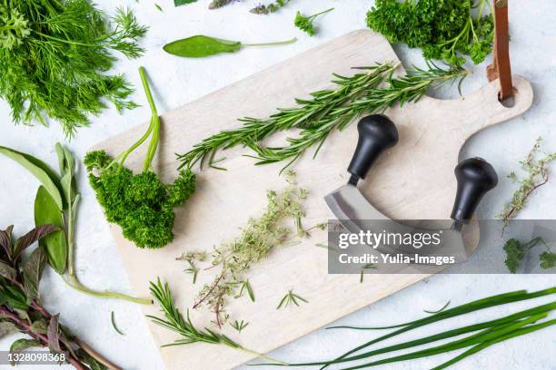 mezzaluna knife with assorted fresh herbs on a chopping board - kräutergarten stock-fotos und bilder