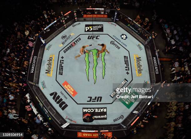 An overhead view of the Octagon as Stephen Thompson battles Gilbert Burns of Brazil during the UFC 264 event at T-Mobile Arena on July 10, 2021 in...