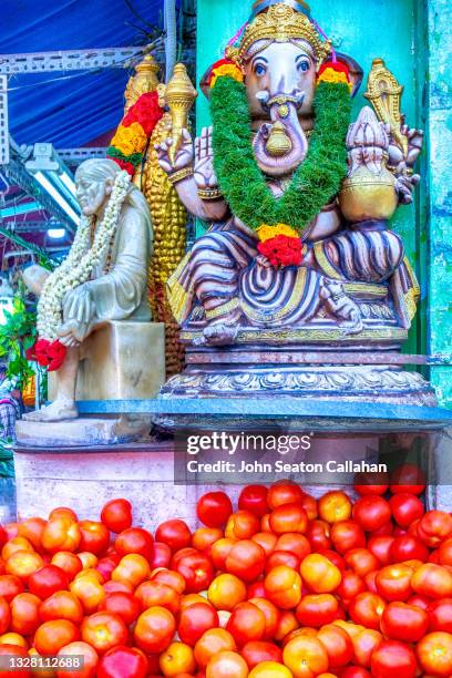 singapore, little india, fresh vegetables - town of the gods stock pictures, royalty-free photos & images