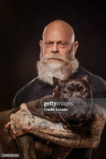 portrait of pedigree pure breed dog and a senior man - strong pitbull stock pictures, royalty-free photos & images