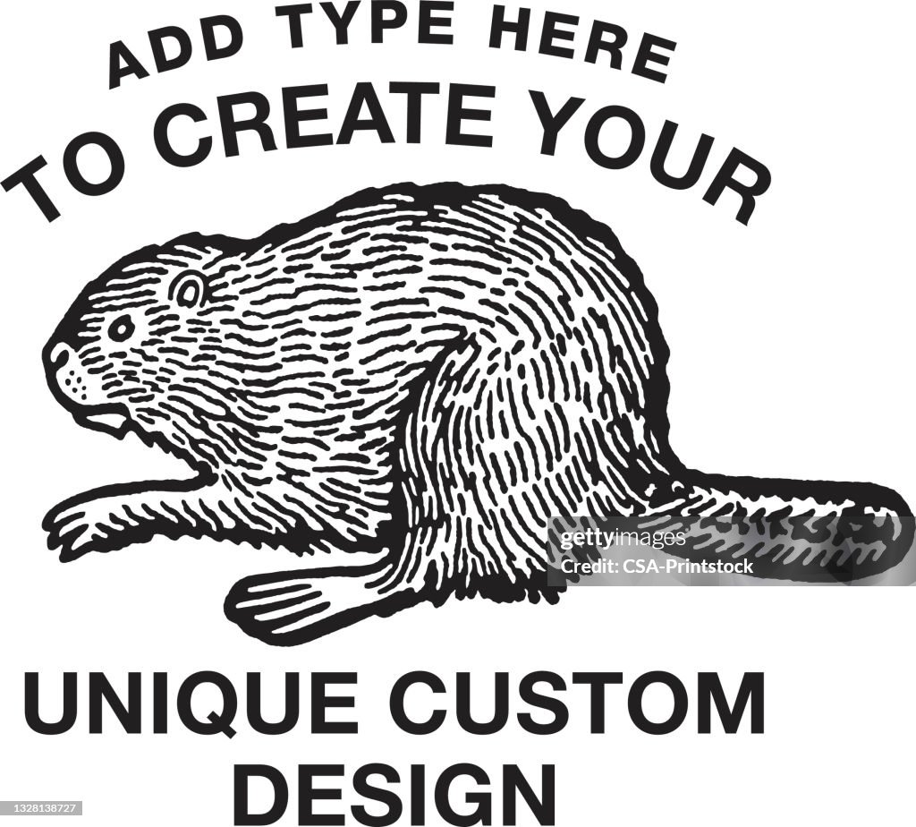 Small Beaver Design Beaver Design Format High-Res Vector Graphic - Getty Images