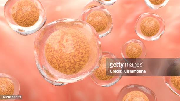 detailliertes bild der stammzelle - menschliche zelle stock-fotos und bilder
