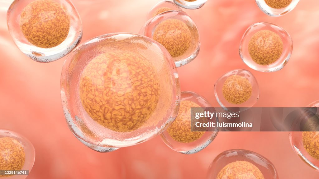 Detailed Image of Stem Cell