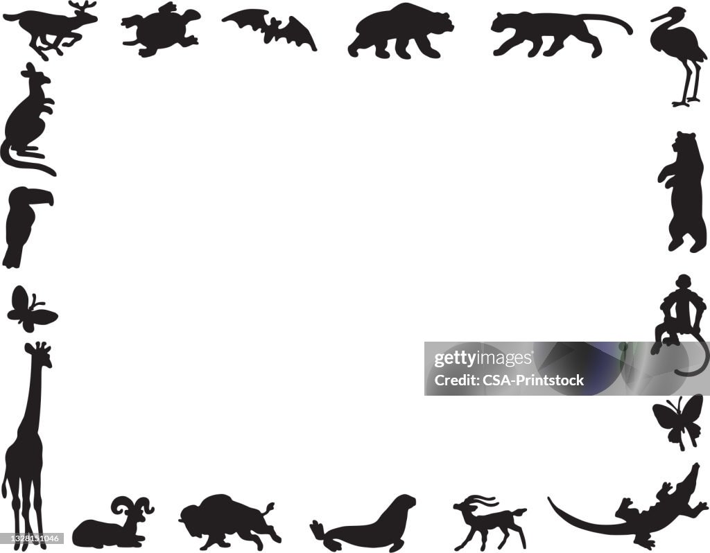 Wild Animal Border High-Res Vector Graphic - Getty Images Wild Animal Border High-Res Vector Graphic - Getty Images