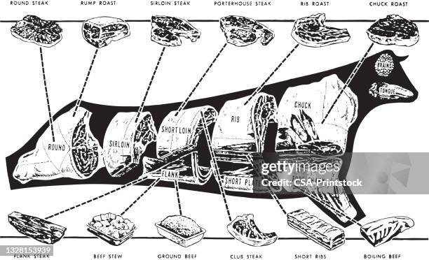 butcher chart of a cow - beef stock illustrations