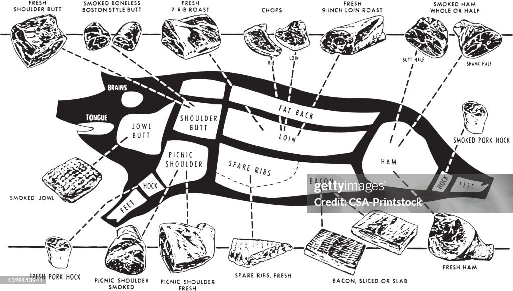 Butcher Chart of a Pig