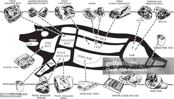 butcher chart of a pig - bacon bits stock illustrations