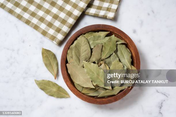 bay leaves - laurel stock pictures, royalty-free photos & images