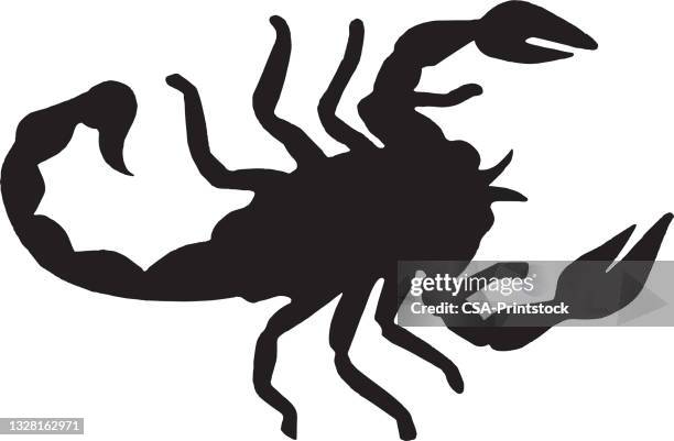 scorpion - scorpions stock illustrations