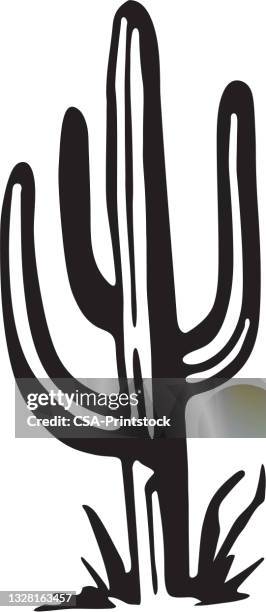 illustrazioni stock, clip art, cartoni animati e icone di tendenza di cactus - cactus