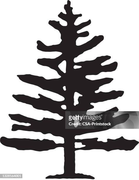 pine tree - tree logo stock illustrations