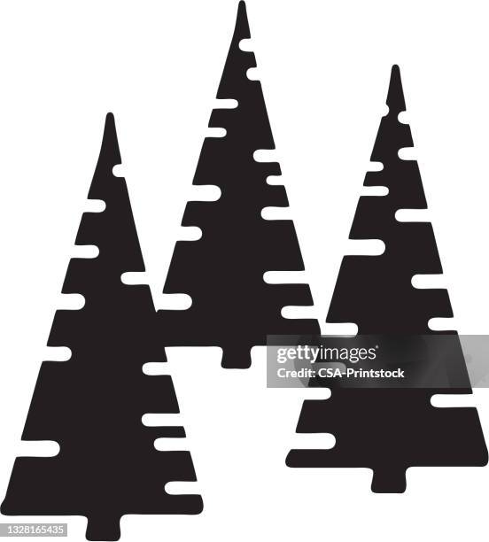 three trees - spruce tree stock illustrations