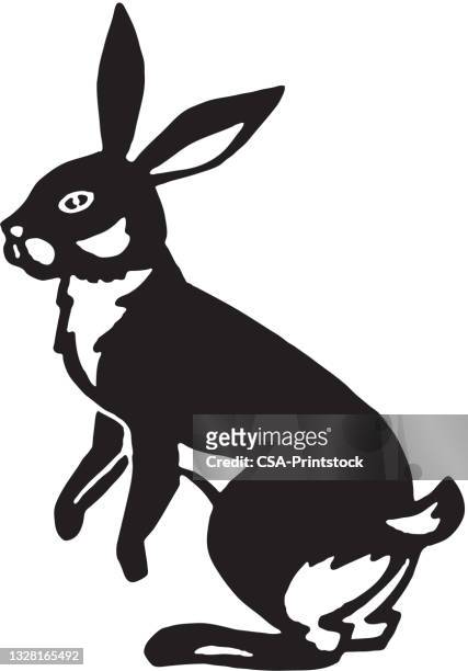 ilustraciones, imágenes clip art, dibujos animados e iconos de stock de conejo - lagomorfos