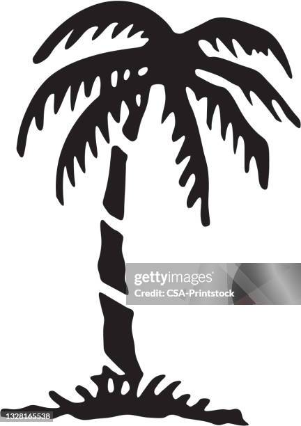 palm tree - coconuts stock illustrations