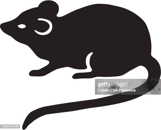 mouse - mouse animal stock illustrations