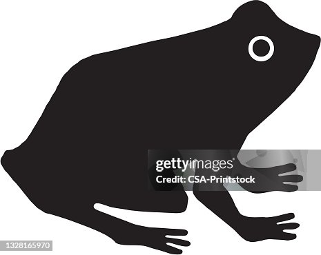 Frog Frog