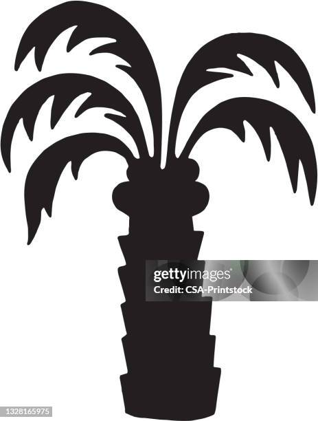 stockillustraties, clipart, cartoons en iconen met palm tree - coconuts vector