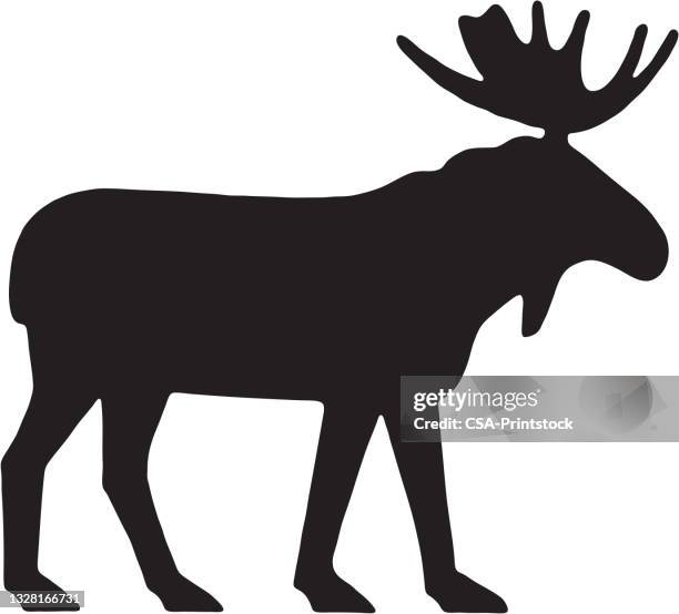 moose - geweih stock-grafiken, -clipart, -cartoons und -symbole