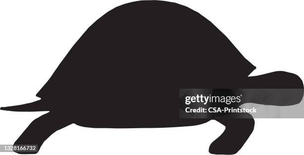 turtle - turtle silhouette stock illustrations