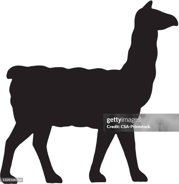 flame - llama animal stock illustrations