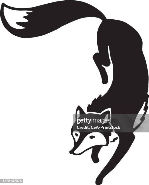 fox - fuchs wildhund stock-grafiken, -clipart, -cartoons und -symbole