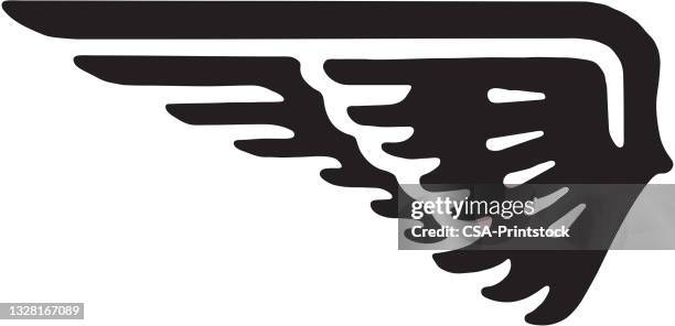 wing - animal wing stock illustrations
