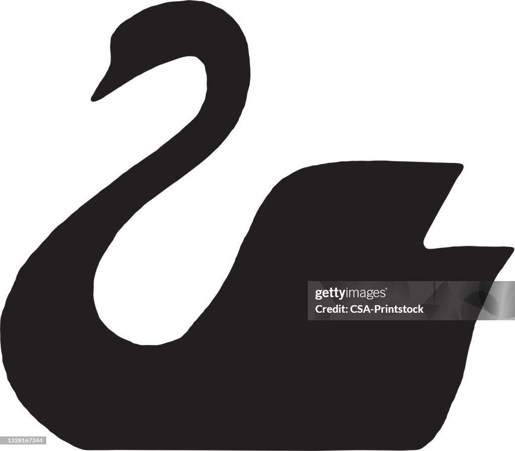 Swan