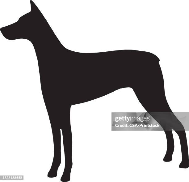 silhouette of dog - dobermann stock illustrations