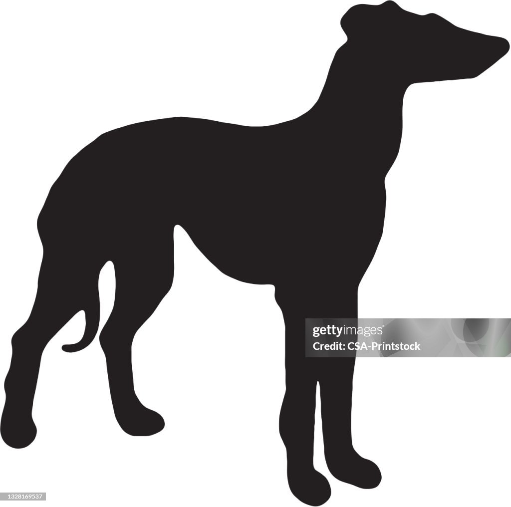 Deerhound/Greyhound Silhouette