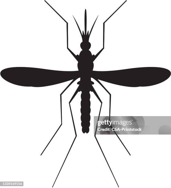 mosquito silhouette - bug stock illustrations