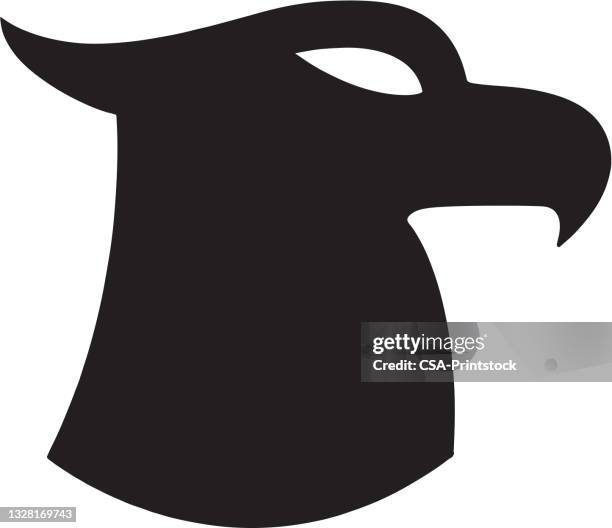hawk silhouette - hawk stock illustrations