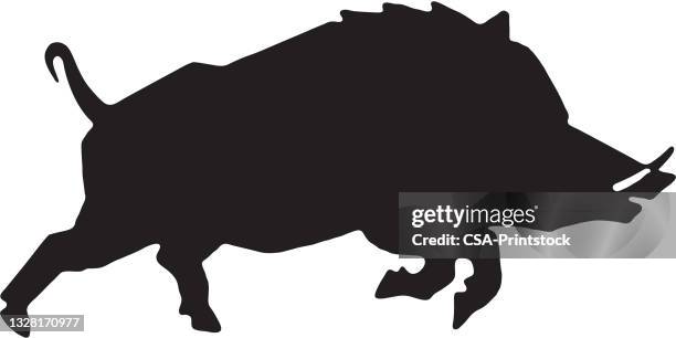 wild boar - wild boar stock illustrations