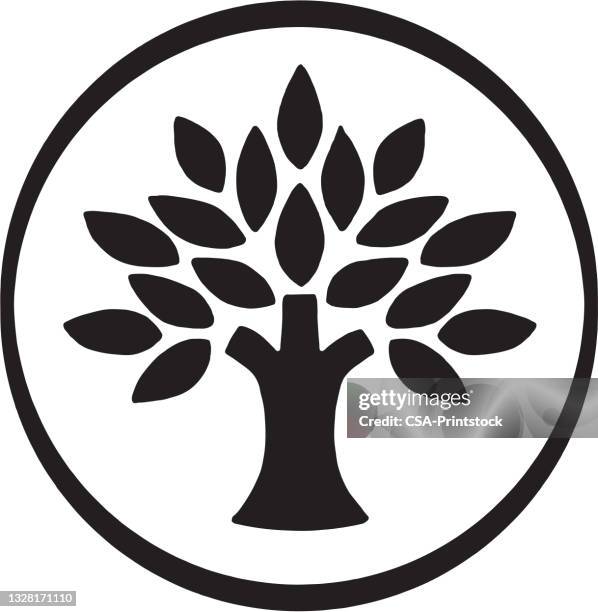 stockillustraties, clipart, cartoons en iconen met tree with leaves - boom