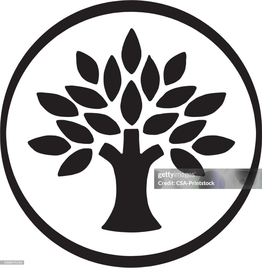 Tree with Leaves
