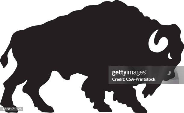 buffalo - amerikanischer bison stock-grafiken, -clipart, -cartoons und -symbole