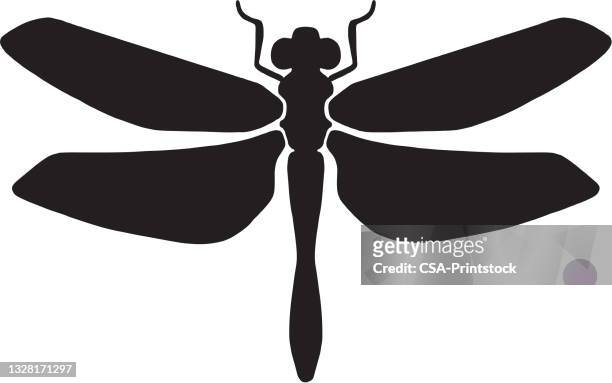 ilustrações de stock, clip art, desenhos animados e ícones de icon - libélula mosca