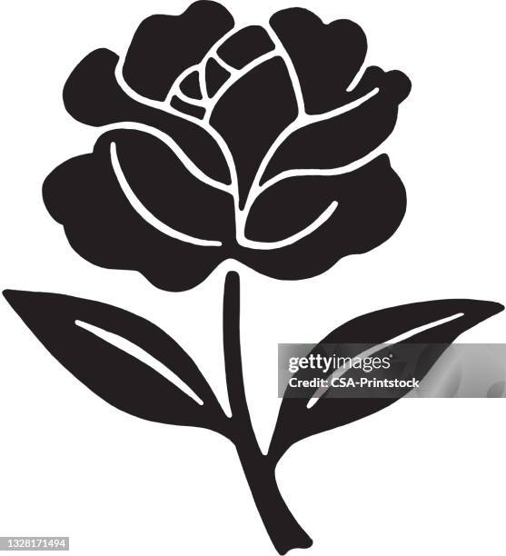 rose - plant stem stock illustrations